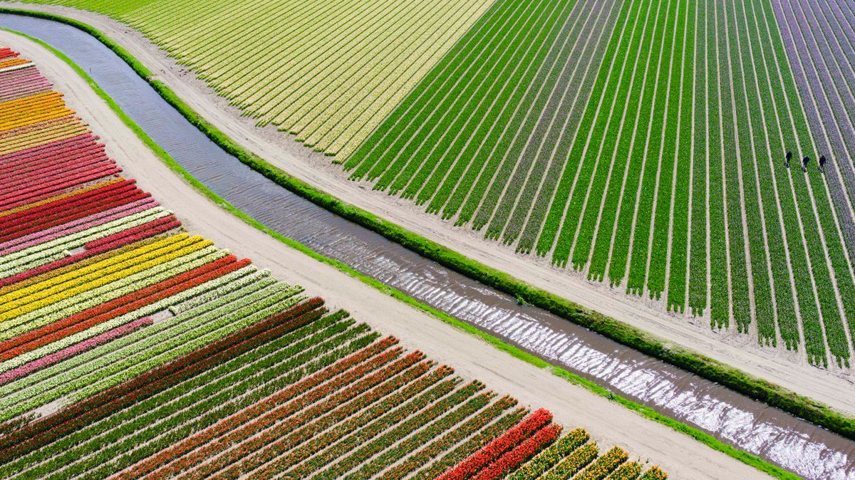 Drone Aerial Photography Contest 2015 4