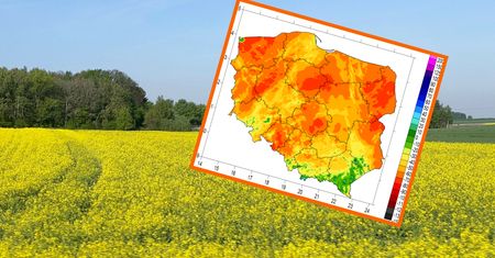 Cała Polska na czerwono. W centrum kraju pojawiły się wypaleniska