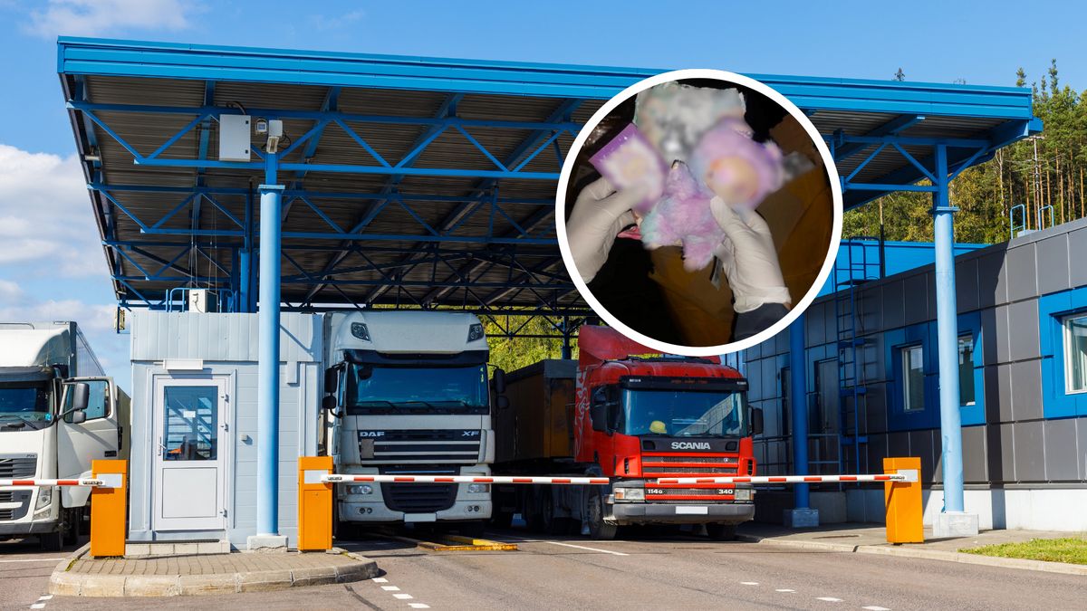 Celnicy przejęli podrabiane maskotki Labubu
