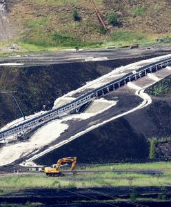 Sensacyjne odkrycie w Polsce. Sprzed 17 mln lat