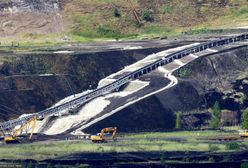 Sensacyjne odkrycie w Polsce. Sprzed 17 mln lat