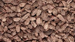 Kardamon jest cenny dla zdrowia. Jak go używać w kuchni?