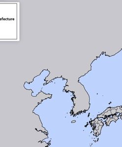 Silne trzęsienie ziemi w Japonii. Alert przed tsunami