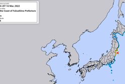 Silne trzęsienie ziemi w Japonii. Alert przed tsunami