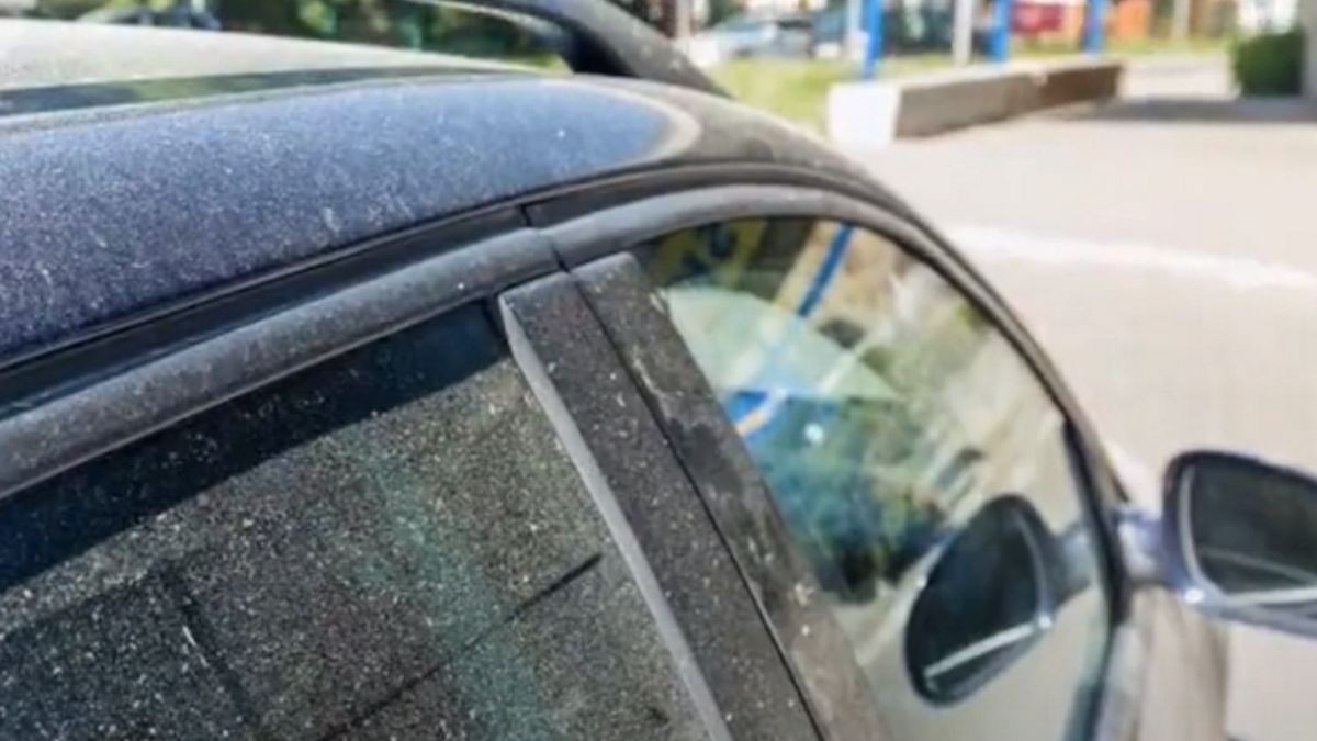 Żółty pył na samochodach niepokoi ich właścicieli