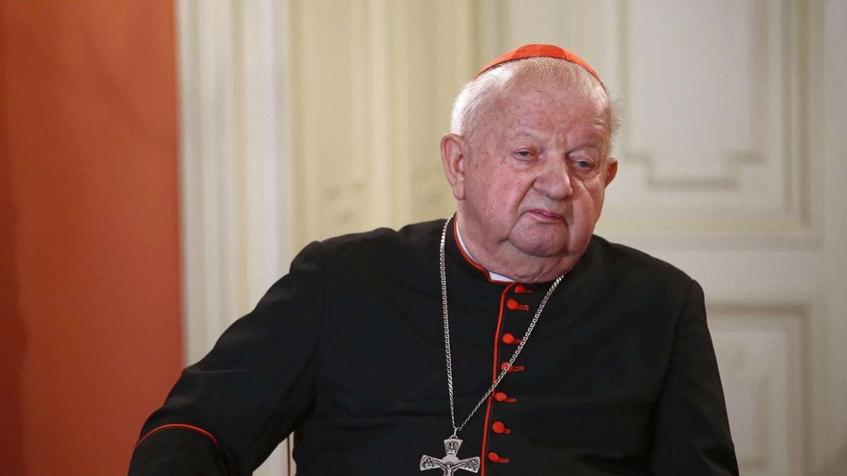 Kard. Dziwisz