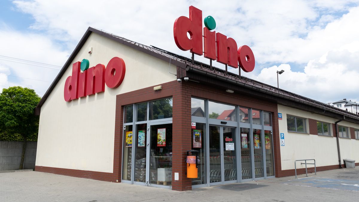 Dino; Dino Polska; sklep; supermarket; dyskont; zakupy; handel