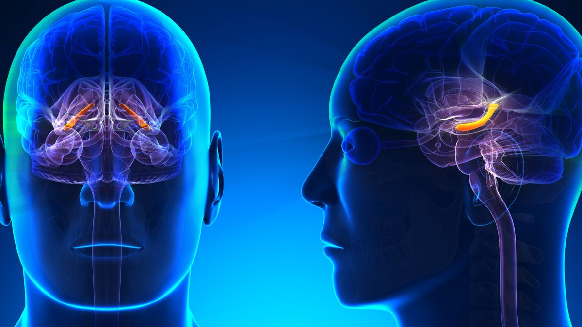 Sporadyczne zapominanie to mechanizm świadczący o prawidłowej pracy mózgu