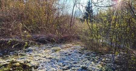 Nocne przymrozki wracają do Lubelskiego. IMGW wydał ostrzeżenie