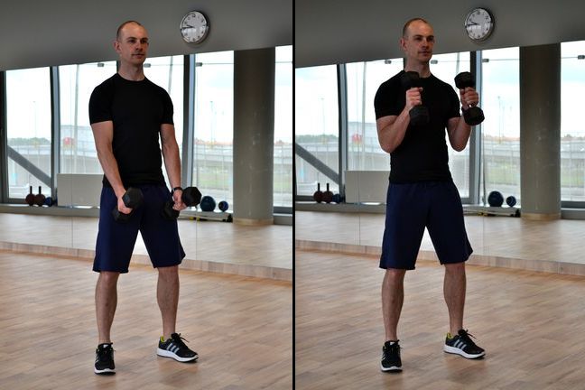 Biceps z hantlami - ruch 1 i 2
