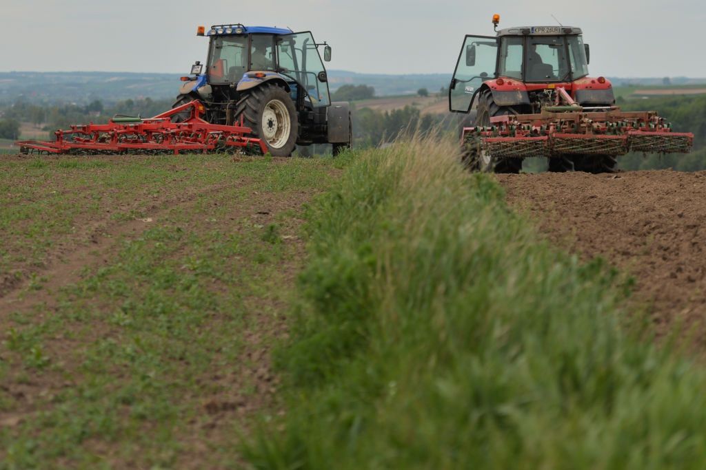 Polscy rolnicy liczą wielkie straty. Winna firma z Czech?