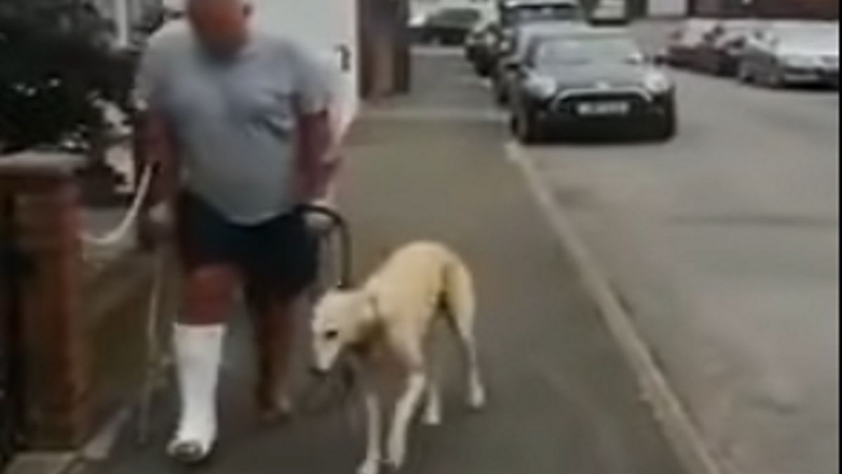 Utykający właściciel i pies.