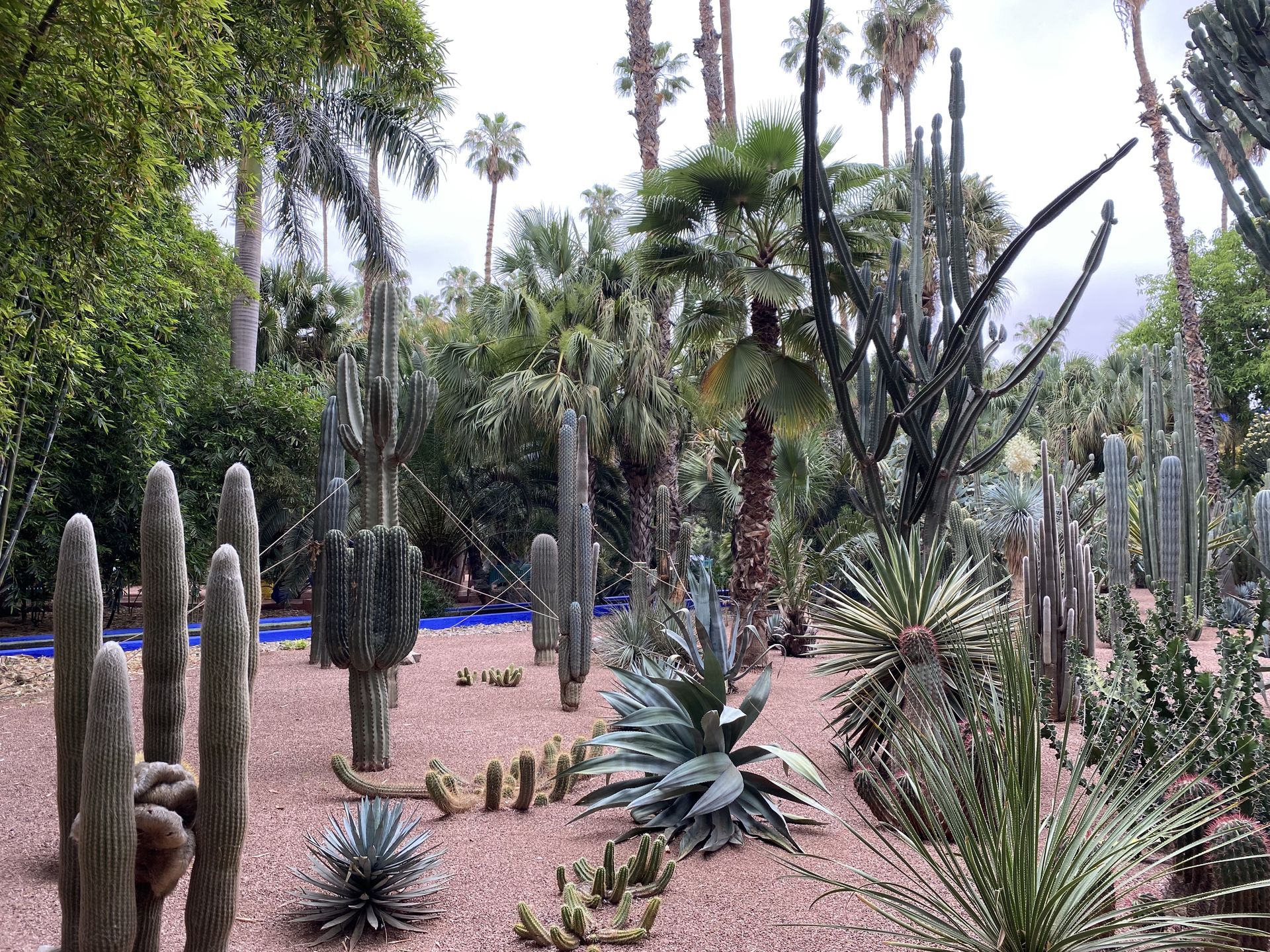 Jardin Majorelle