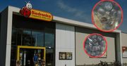Klienci Biedronki znów skarżą się na pleśń. Zaskakująca odpowiedź sieci