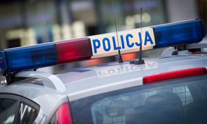 Atak niedźwiedzia. Dramatyczne informacje