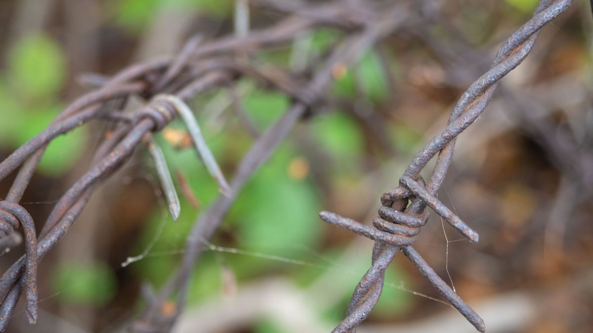 Spór o drut kolczasty w Szczecinie 
