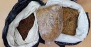 Kontrabanda zabezpieczona. 1750 nielegalnych paczek papierosów