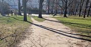 Warszawa: Park w samym sercu miasta przejdzie metamorfozę
