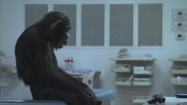 Czy konsole są dla małp? 1