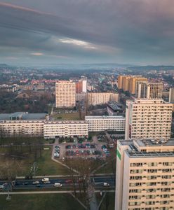 Brytyjczycy rozpływają się nad polskim miastem. "Niedoceniane miejsce"