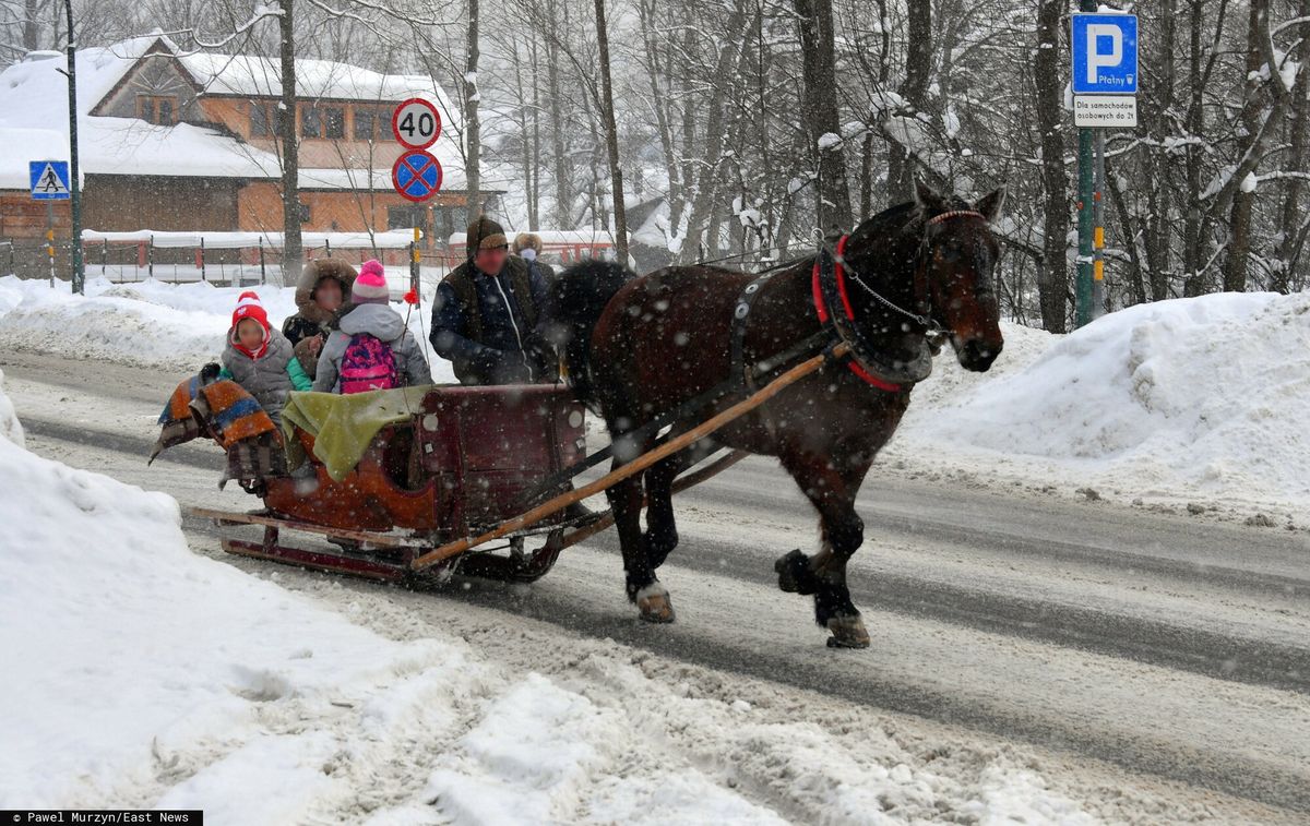 Terminy na kuligi są oblegane. Nie wszyscy zdążą w tym roku