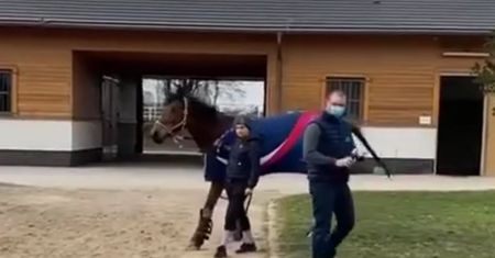 Córka Kaczyńskiej dostała od ojca bardzo drogi prezent. Kosztuje tyle, co małe mieszkanie