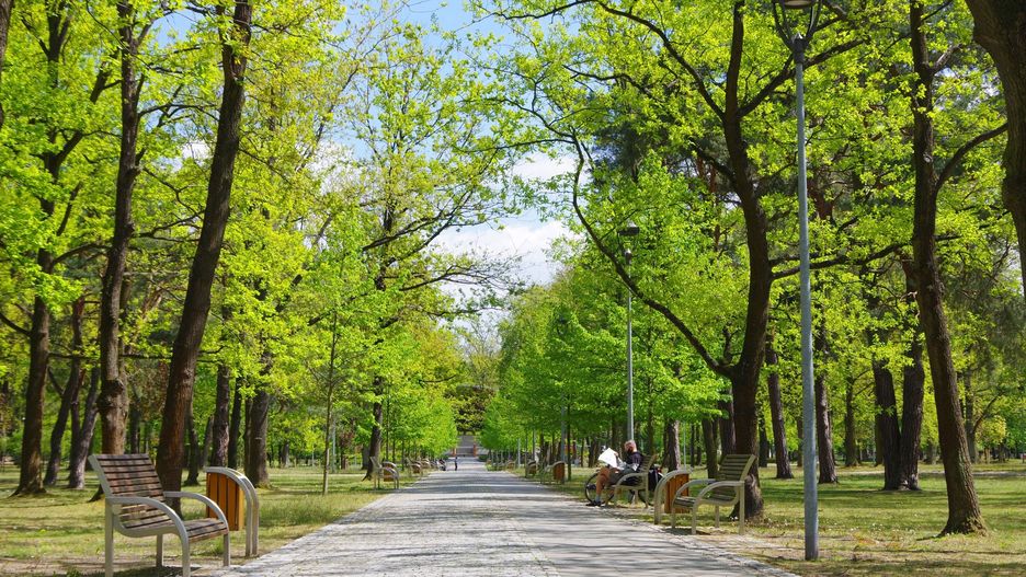 Koronawirus w Polsce. 70-latka weszła do parku podczas epidemii. Uchylono karę 12 tys. zł