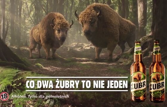 „Co dwa Żubry, to nie jeden” w reklamie piwa Żubr (wideo)
