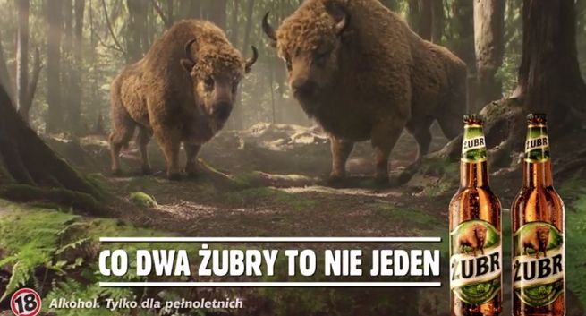 „Co dwa Żubry, to nie jeden” w reklamie piwa Żubr (wideo)