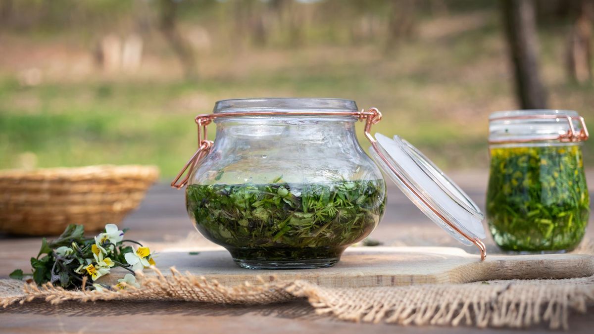 Ten napój piją stulatkowie z Sardynii