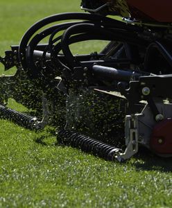 Warszawa nie będzie kosić trawników