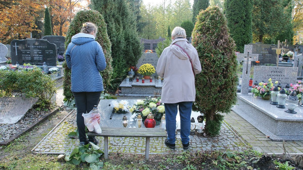 rod, chodzenie, baba, lud, para, jardin, park, dzieci, radosna, senior, razem, charakter, ogrodnictwo, ojciec, czas wolny, kocham, mama, cmentarz, kobiety na cmentarzu, ludzie na cmentarzu, kobiety, na, cmentarzu, ludzie, zaduszki, pogrzeb, zbawienie, ofiarowanie, modlitwa, krzyż, maryja, symbol, wierni, jezus, bóg, chrystus