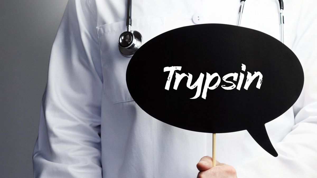 Trypsyna należy do związków, które nazywane są enzymami, a w przypadku trypsyny, enzymami trawiennymi.