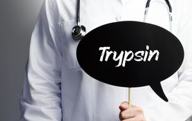 Trypsyna – budowa, wytwarzanie, rola w organizmie