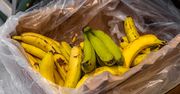 Jak przedłużyć świeżość bananów o 2 tygodnie? Ten prosty trik zmienia zasady gry