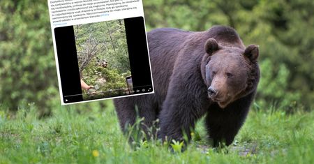 Skandaliczne nagranie z Tatr. Turyści wyjęli smartfony