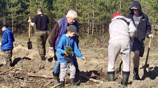 Dąbrowa Górnicza: 9 tys. drzew w jeden dzień