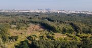 Warszawa. Jest śledztwo ws. budowy w otulinie rezerwatu Łosiowe Błota