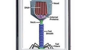 S60 zaatakowany przez trojana 1