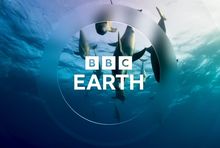 Oprawa kanału BBC Earth