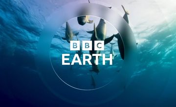 BBC udostępni nowe kanały na YouTube