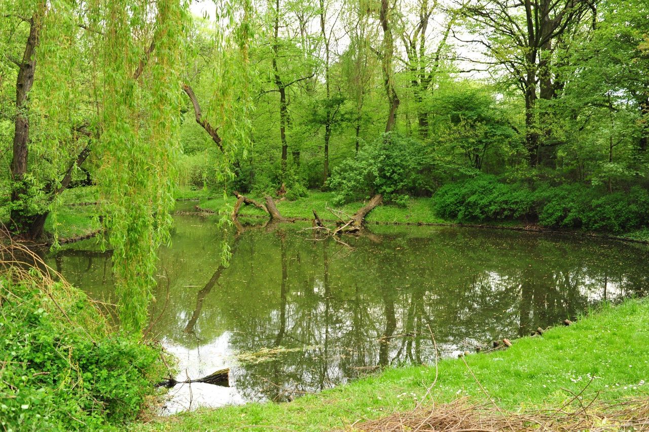 Warszawa: Park do odświeżenia. Za moment ruszą pracę. W planach sporo nowości