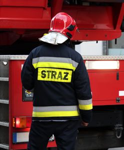 Pożar w szkole. Ewakuowano uczniów i pracowników