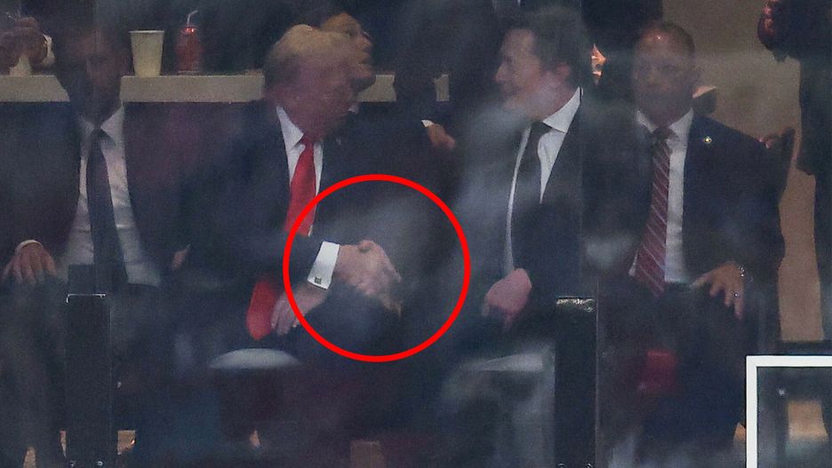 Donald Trump / Elon Musk