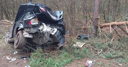 BMW z impetem uderzyło w drzewo. Kierowca i pasażerka w szpitalu