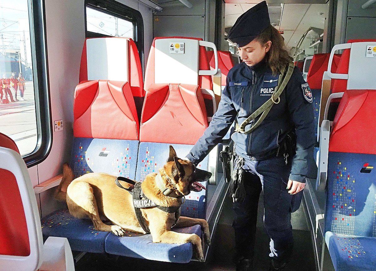 Łódź: Ćwiczenia służb mundurowych na kolei