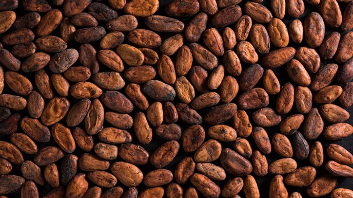 Gorzka czekolada może wpływać pozytywnie na długość życia