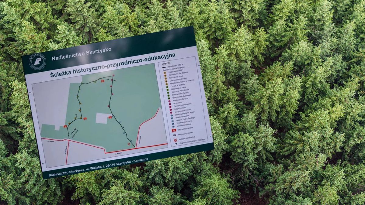 Kontrowersyjna ścieżka w Nadleśnictwie Skarżysko