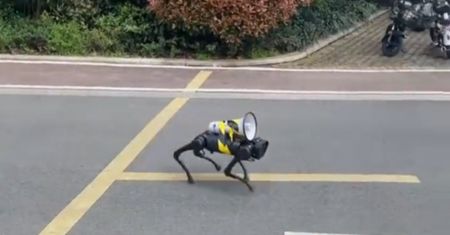 Sceny jak z filmu w Szanghaju. Na ulicach pojawiły się psy-roboty