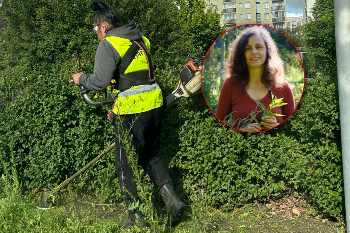 Anna Aniśko apeluje o "maj bez koszenia".